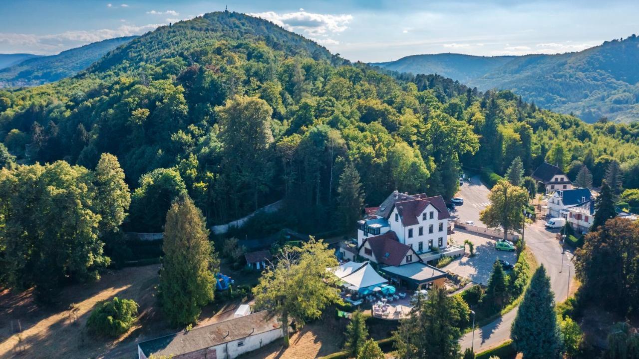 Hotel La Garenne Saverne Exterior photo